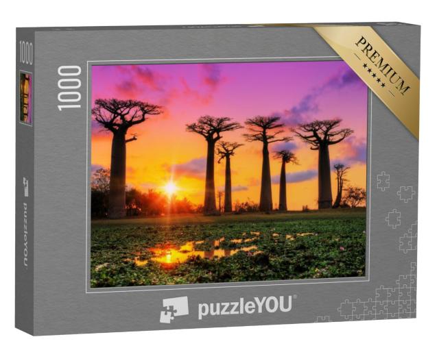 Puzzel 1000 stukjes „Kleurenspel bij zonsondergang op de laan van baobabs, Madagaskar“