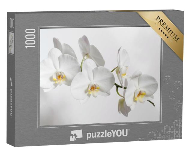 Puzzel 1000 stukjes „Betoverende witte orchidee“