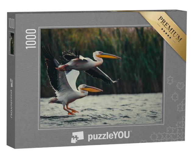 Puzzel 1000 stukjes „Twee pelikanen“