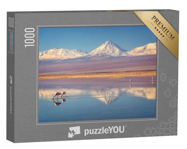 Puzzel 1000 stukjes „Vulkaan Licancabur en Laguna Chaxa, Chili“