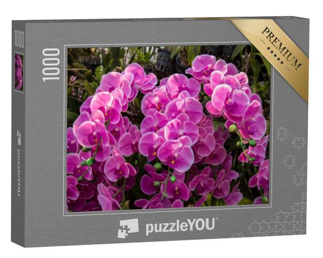 Puzzel 1000 stukjes „Zee van bloemen in de orchideeëntuin“