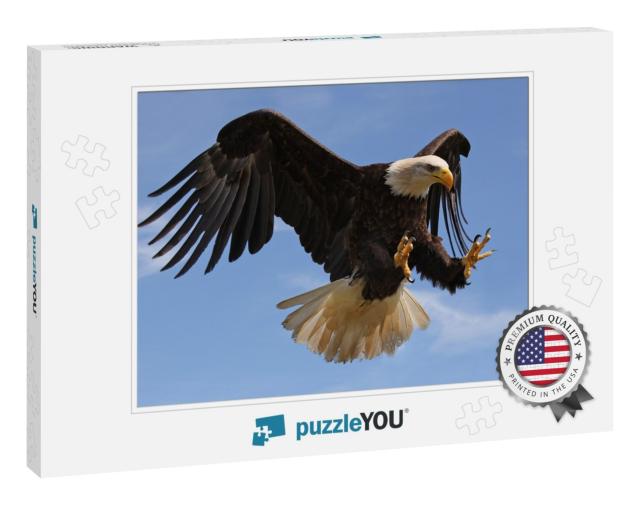Eagle in Flight... Jigsaw Puzzle