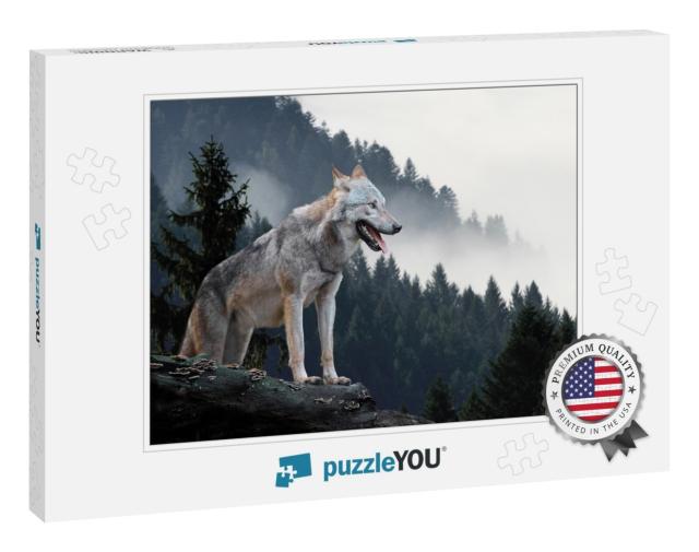 Timber Wolf Hunting in Mountain... Jigsaw Puzzle
