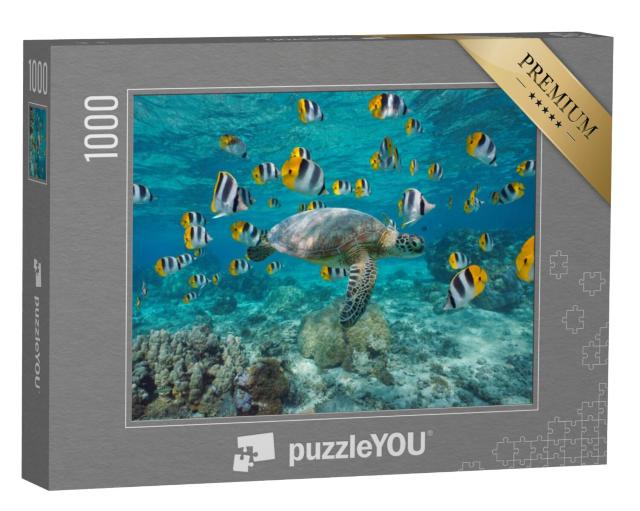 Puzzel 1000 stukjes „Zeeschildpad met een school tropische vissen, Polynesië“