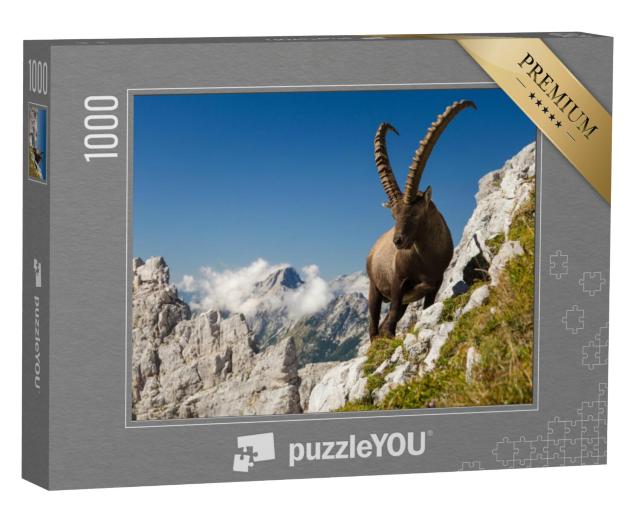 Puzzel 1000 stukjes „De steenbok, de koning van de bergen“