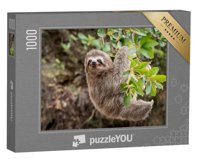 Puzzel 1000 stukjes „Uitzicht op de jungle: luiaard“