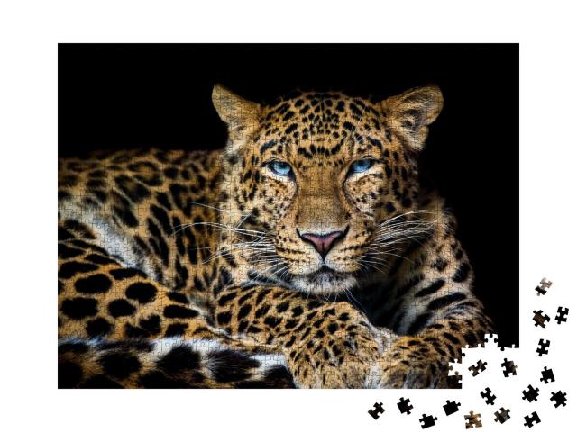 Puzzle 1000 Teile „Nordchinesischer Leopard, Panthera pardus japonensis “