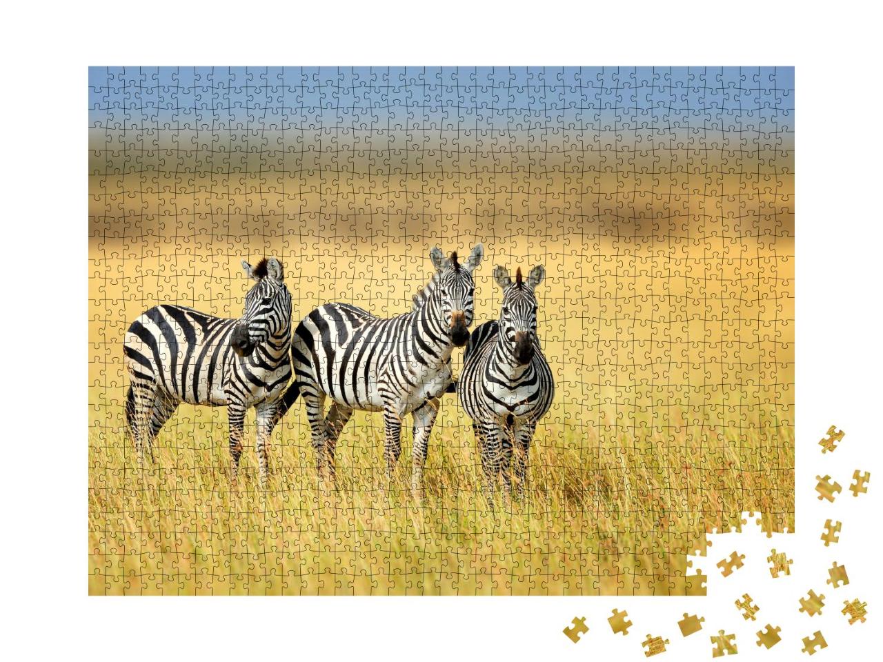 Puzzle 1000 Teile „Drei Zebras im kenianischen National Park“