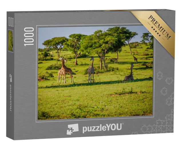 Puzzel 1000 stukjes „Natuur en wilde dieren in Murchison Falls Park, Oeganda, Afrika“