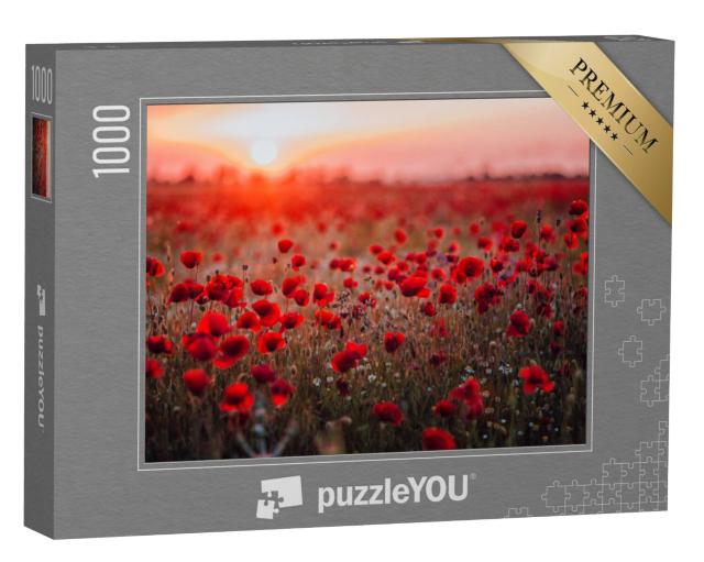 Puzzel 1000 stukjes „Klaprozenveld bij zonsondergang“