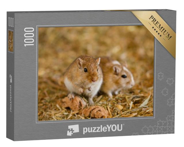 Puzzel 1000 stukjes „Twee Mongoolse gerbils“