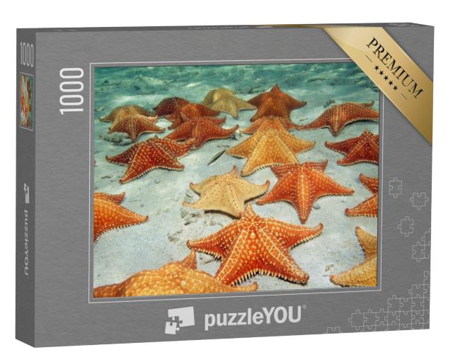 Puzzel 1000 stukjes „Zeesterren op de zanderige zeebodem“