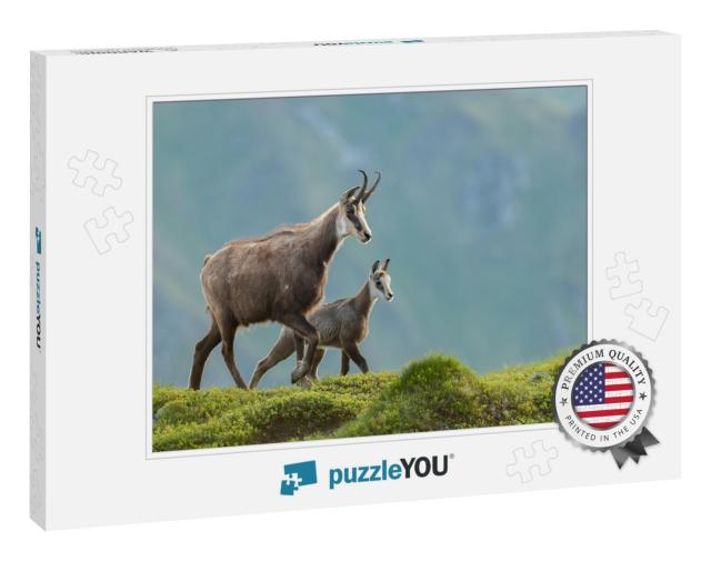 Chamois Mom with Baby Walking on the Mountain Meadow, Rup... Jigsaw Puzzle