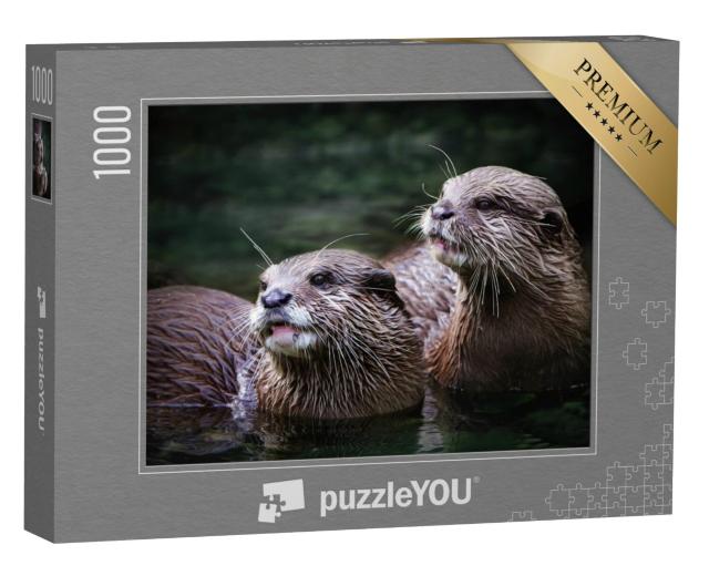 Puzzel 1000 stukjes „Schattig paar otters in het water“