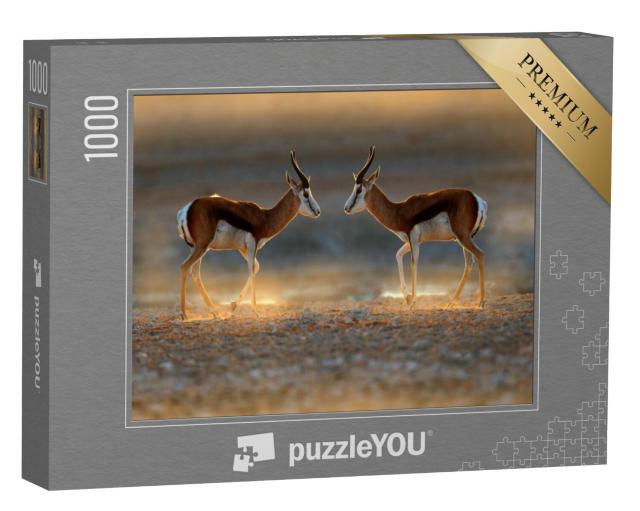 Puzzel 1000 stukjes „Springbokantilope bij zonsondergang, Namibië“