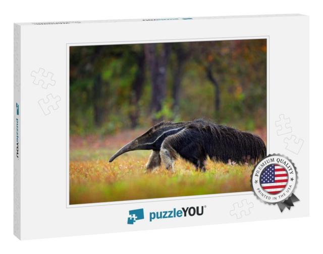 Anteater, Cute Animal from Brazil... Jigsaw Puzzle