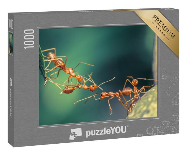 Puzzle 1000 Teile „Einheitliche Ameisenbrücke“