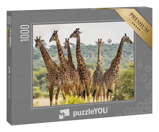 Puzzle 1000 Teile „Giraffenherde im Tarangire-Nationalpark, Tansania“