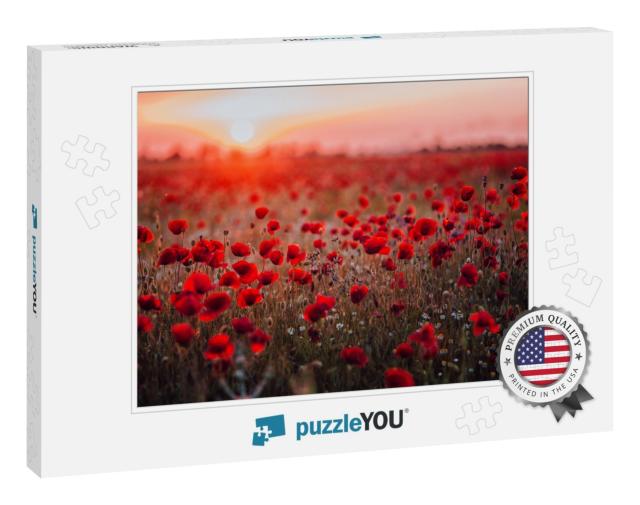 Beautiful Field of Red Poppies in the Sunset Light. Russi... Jigsaw Puzzle