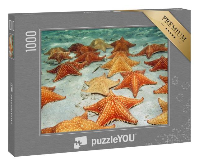 Puzzle 1000 Teile „Seesterne auf dem sandigen Meeresboden“