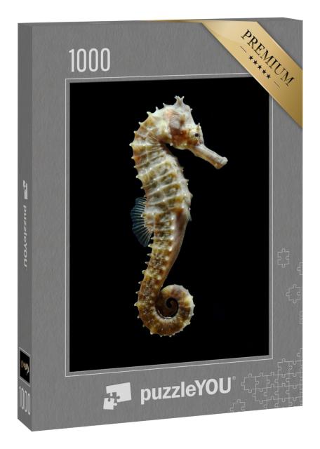 Puzzle 1000 Teile „Makrofotografie: Ein Seepferdchen“