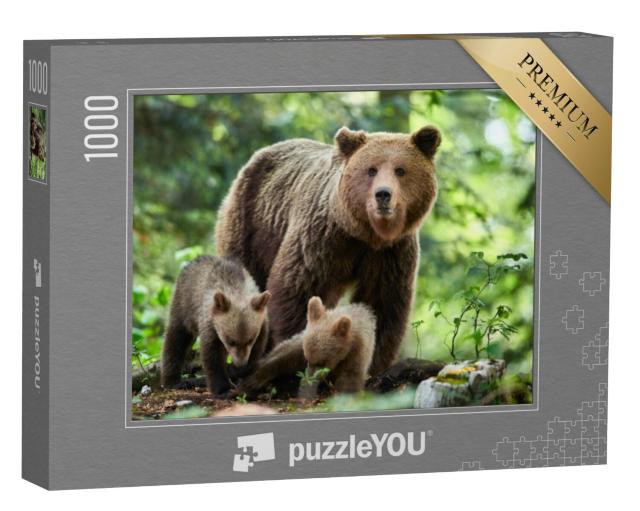 Puzzel 1000 stukjes „Een close-up van een wilde bruine beer“