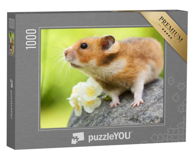 Puzzel 1000 stukjes „Schattige hamster op een steen“