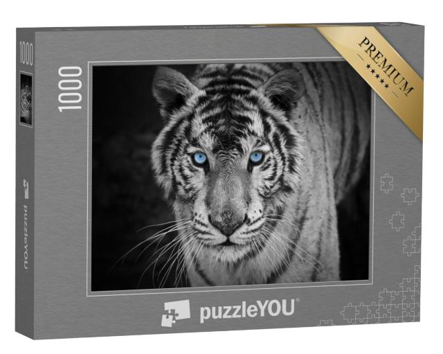 Puzzel 1000 stukjes „Portret van een witte tijger met doordringende blauwe ogen“