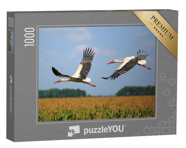 Puzzel 1000 stukjes „Twee ooievaars vliegen over een veld“