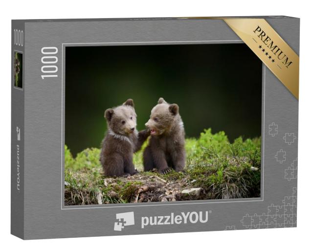 Puzzel 1000 stukjes „Twee kleine berenwelpjes in het bos“