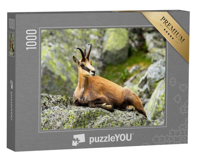 Puzzel 1000 stukjes „Tatra-zeem rustend op een rots“