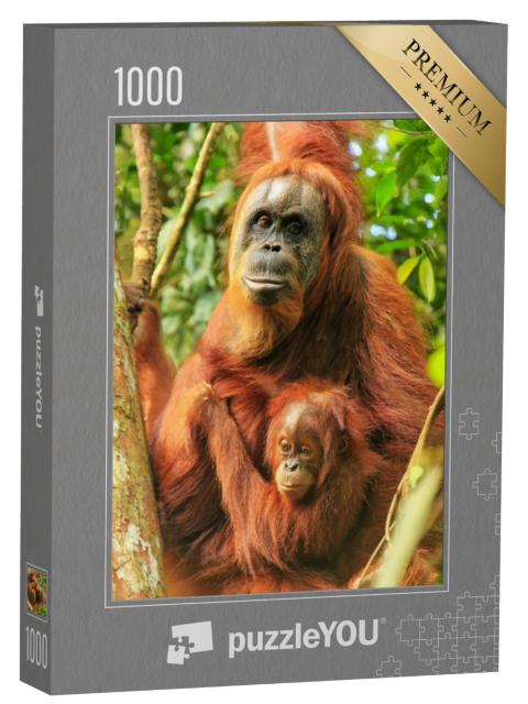 Puzzel 1000 stukjes „Vrouwelijke Sumatraanse orang-oetan met een baby, Indonesië“