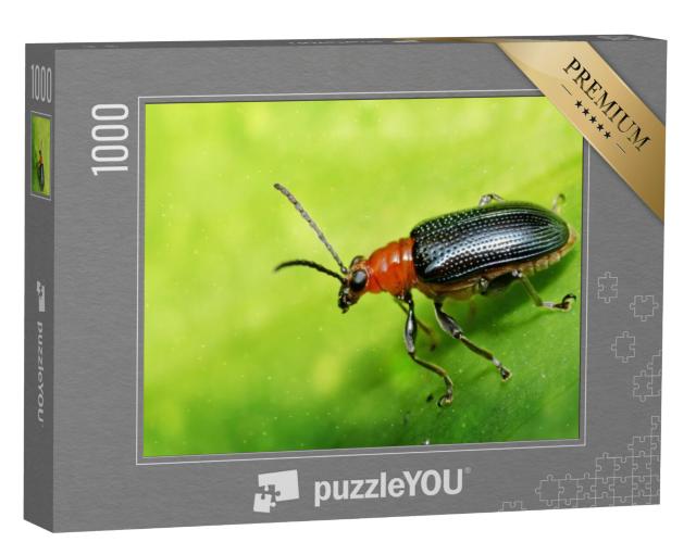 Puzzel 1000 stukjes „Zwarte kever“