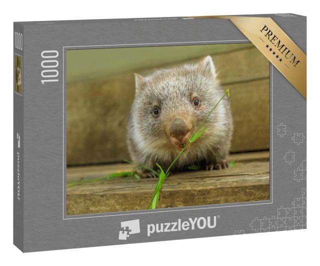 Puzzle 1000 Teile „Niedliches Wombat-Jungtier bei der Nahrungsaufnahme“