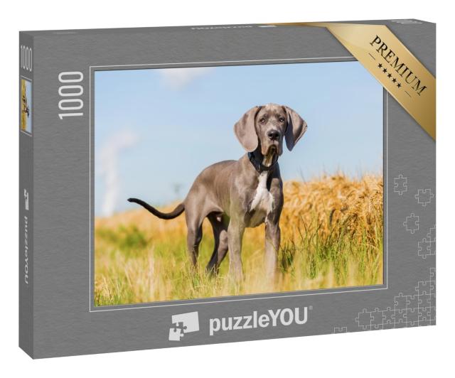 Puzzle 1000 Teile „Porträtbild eines Doggenwelpen, der auf einem Feldweg steht“