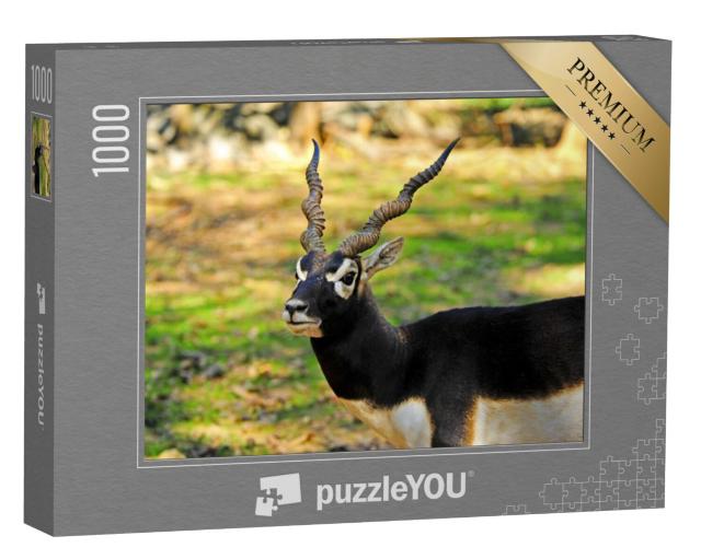 Puzzel 1000 stukjes „Een mannelijke zwarte bok“