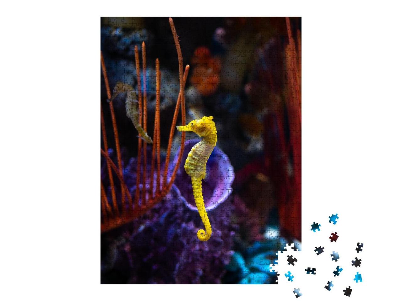 Puzzle 1000 Teile „Seepferdchen im Aquarium“