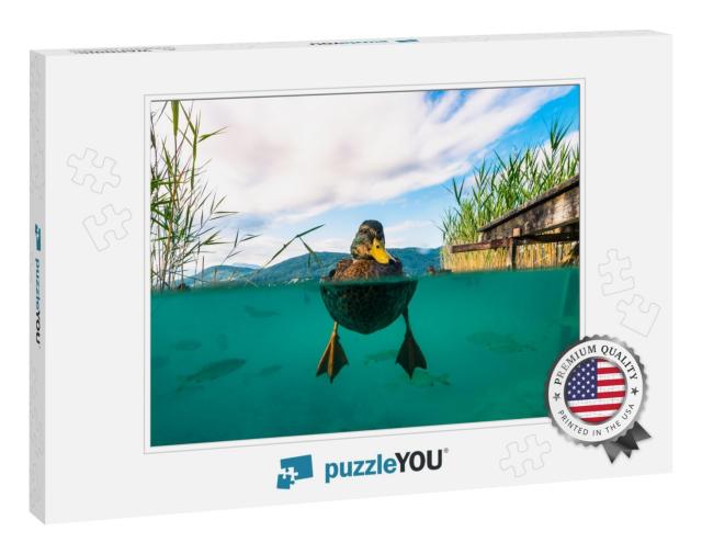 A Underwater Picture of a Duck & with Some Fishes in a La... Jigsaw Puzzle