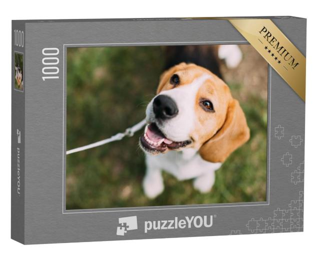 Puzzel 1000 stukjes „Een beagle puppy op het gras“