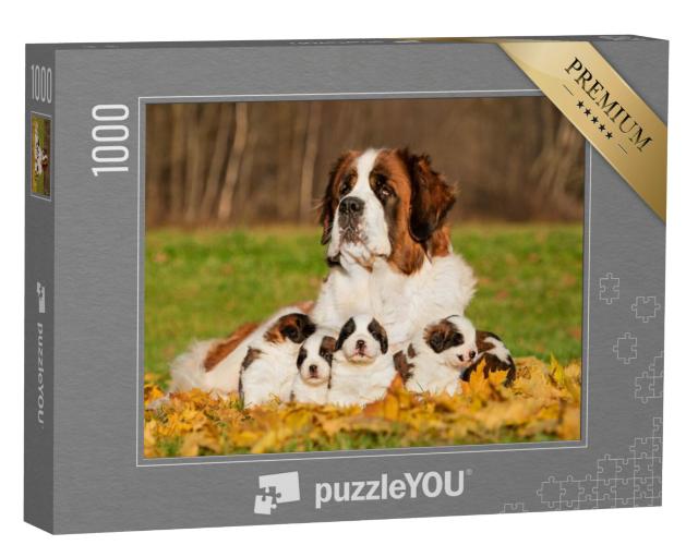 Puzzel 1000 stukjes „Sint Bernard met puppies in de herfst“