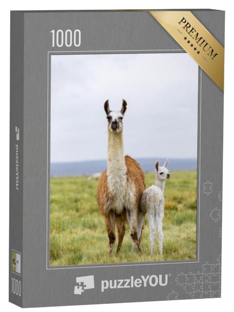 Puzzel 1000 stukjes „Lama met baby op de Altiplano in Bolivia“