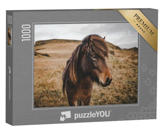 Puzzel 1000 stukjes „Close-up van een IJslands paard“