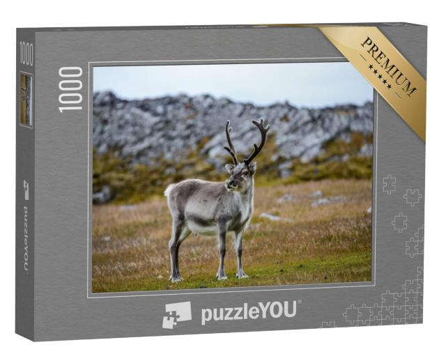 Puzzel 1000 stukjes „Rendieren in hun natuurlijke omgeving“