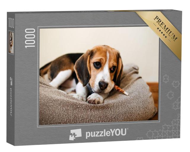 Puzzel 1000 stukjes „Een beagle met een traktatie“