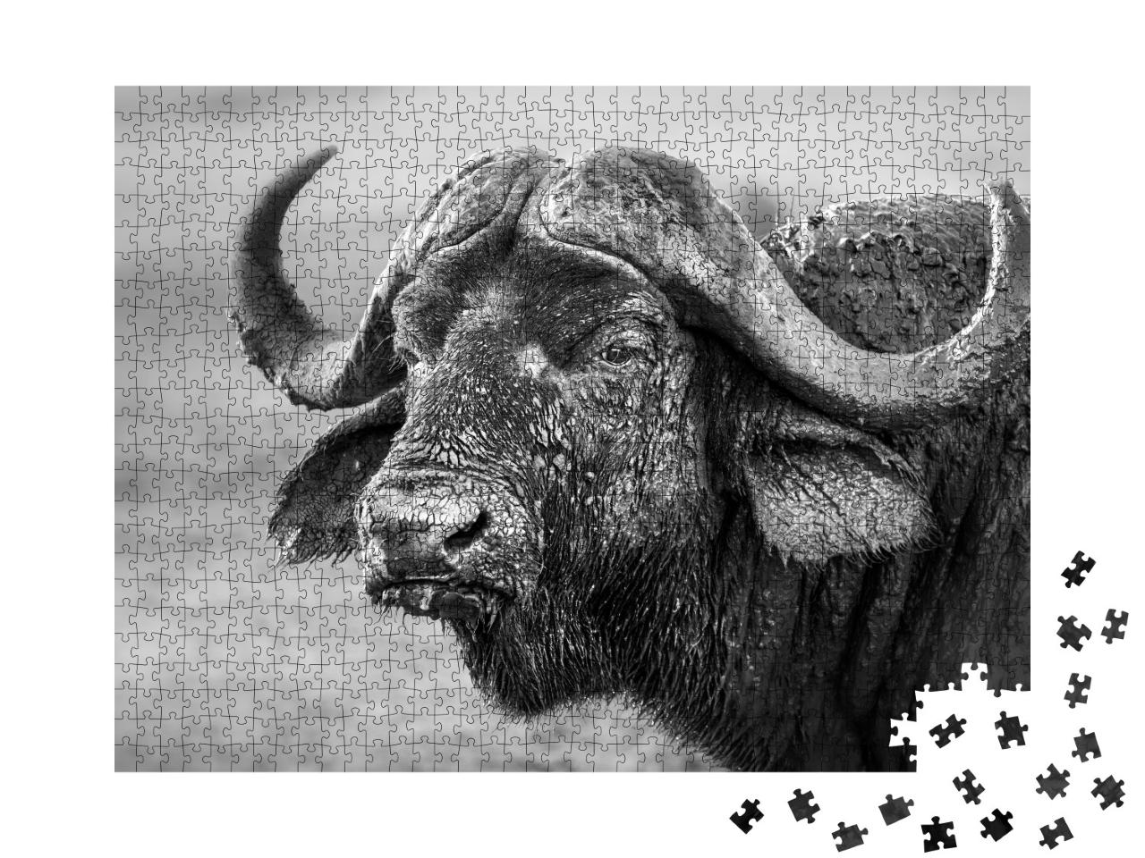 Puzzle 1000 Teile „Mit Schlamm bedeckter Büffel, Südafrika“