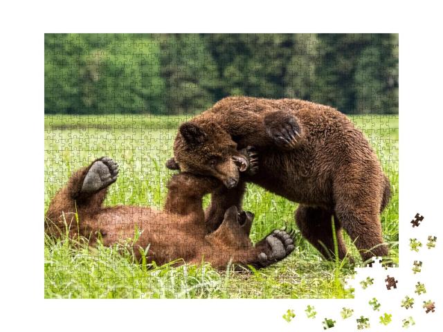 Puzzle 1000 Teile „Eine Nahaufnahme von Grizzlybären, Kanada“