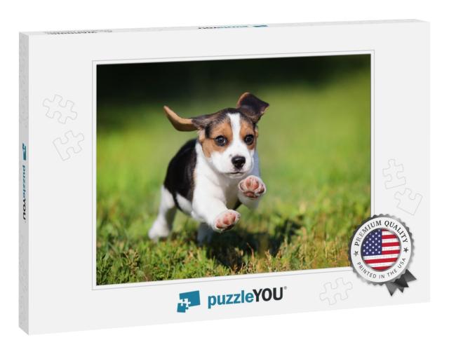 Happy Beagle Puppy Running on the Grass... Jigsaw Puzzle