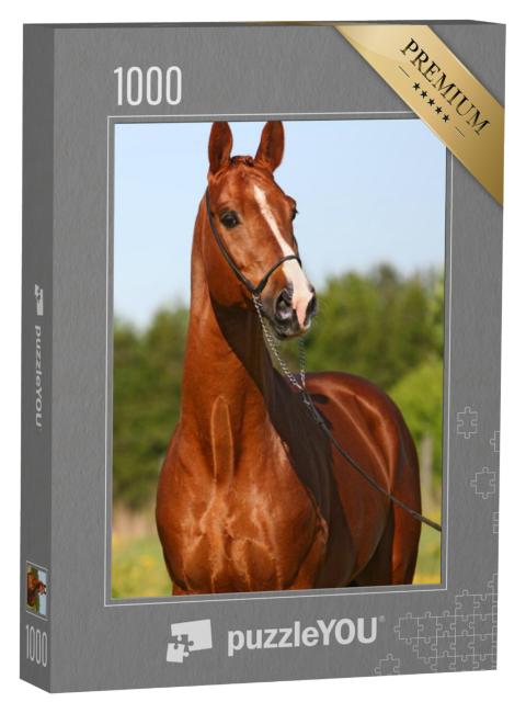 Puzzel 1000 stukjes „Kastanjekleurige Trakehner hengst“