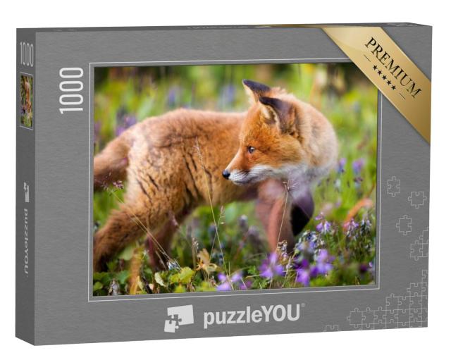 Puzzel 1000 stukjes „Nieuwsgierig rood vossenjong in een bloemenweide“