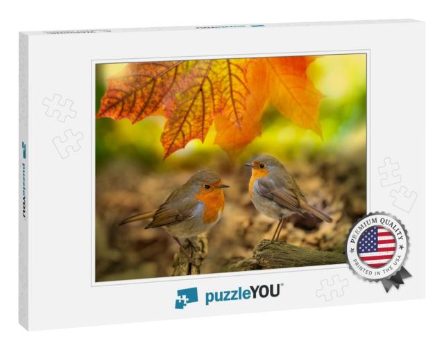 Red Robin Erithacus Rubecula Birds Close Up in a Forest... Jigsaw Puzzle